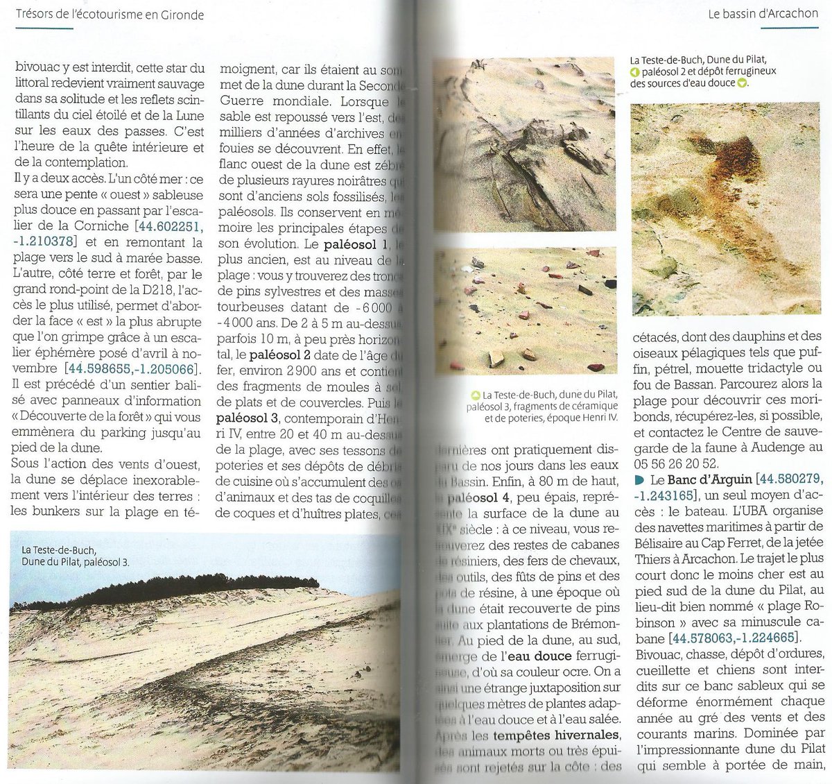 theviotmartial's tweet image. #Géologie &amp;amp; Paysages : La dune du #Pilat : youtu.be/rO38ULbtYxo
Lire aussi mon livre "Trésors de l'écotourisme en #Gironde" (extrait ci-dessous)