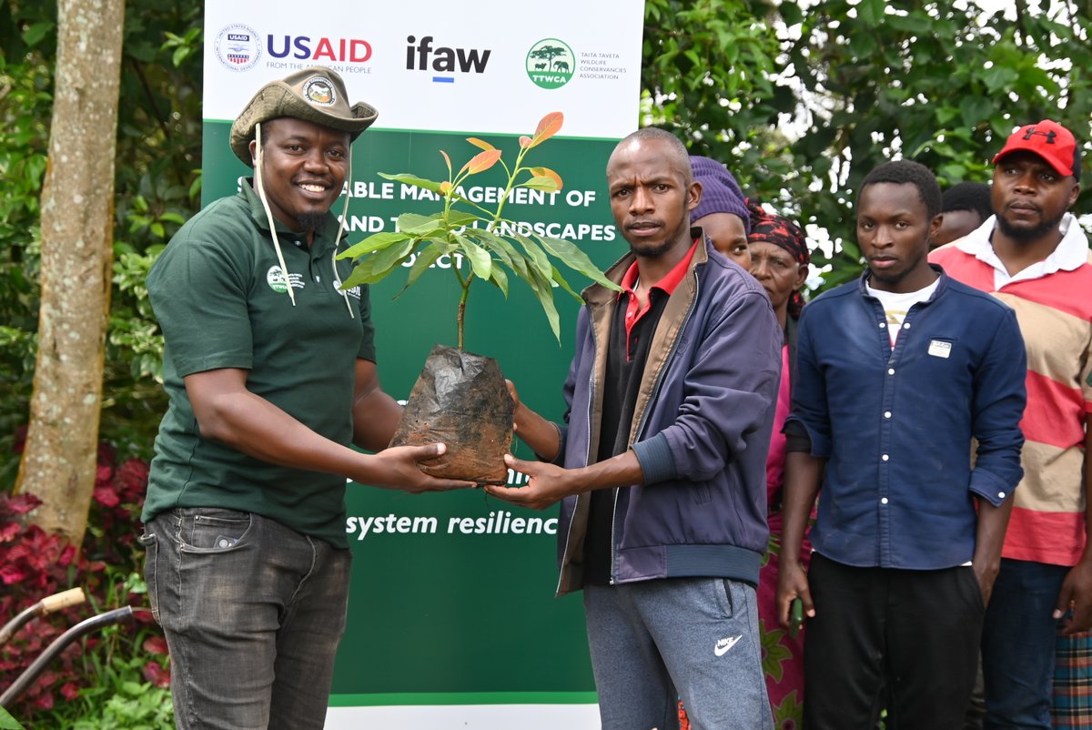 Taita Taveta Wildlife Conservancies Association tweet media