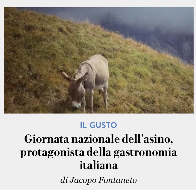 Alessandro Marchetti Tricamo (@amarchettit) on Twitter photo Giornata nazionale dell'asino ... <a href="/repubblica/">Repubblica</a> cosa di meglio che celebrare il suo macello? Bah #asino #vivagliasini #repubblica Giornata nazionale dell'asino ... <a href="/repubblica/">Repubblica</a> cosa di meglio che celebrare il suo macello? Bah #asino #vivagliasini #repubblica
