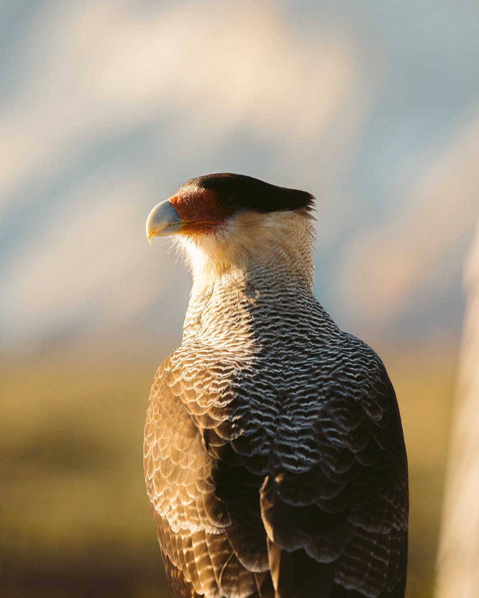 The photographer vs the photos, final day in Patagonia - April 2023