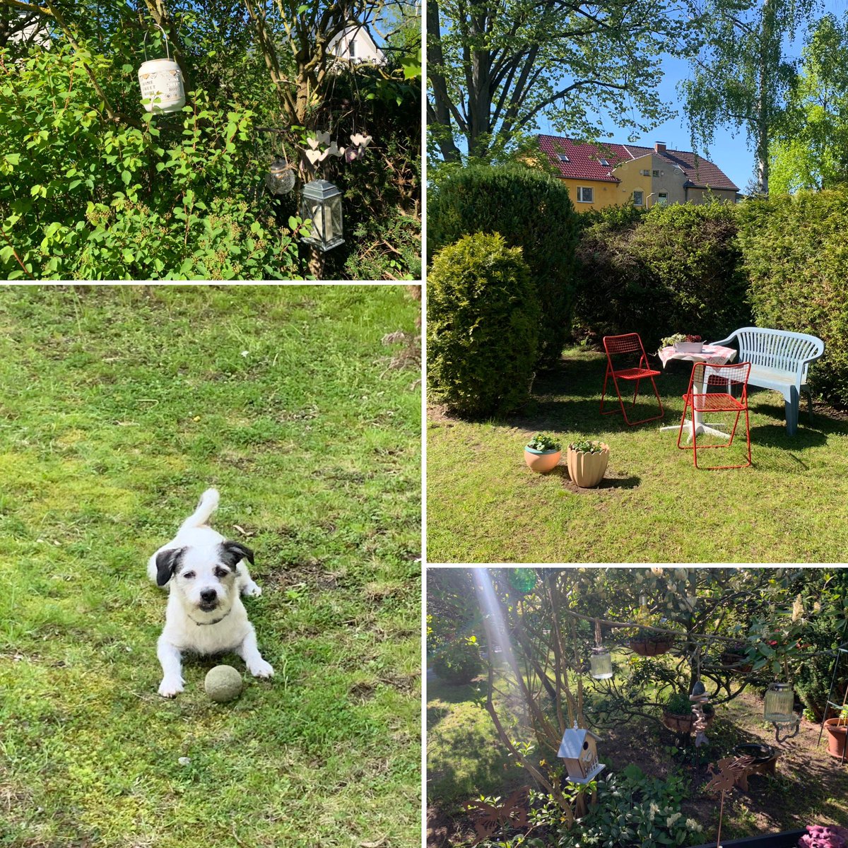 MeikelBLN76's tweet photo. Sunny Afternoon… #berlinsmoke #outsidesmoke #newkingontheblock🐶 #sam🐶 #berlinmitteboy🐶 #mariendorf (hier: Mariendorf, Berlin) https://t.co/mI41MbcQXf