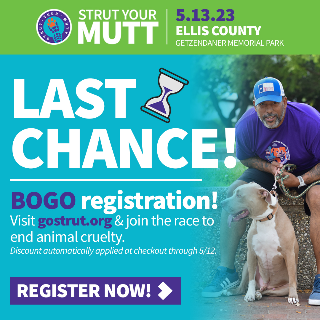 It's your LAST CHANCE to join a passel of pooches and their proud pet parents this Saturday, May 13 at 8 a.m. for the Inaugural Strut Your Mutt in Ellis County at Getzendaner Park in Waxahachie! 

BOGO registrations ALL this week!!

gostrut.org