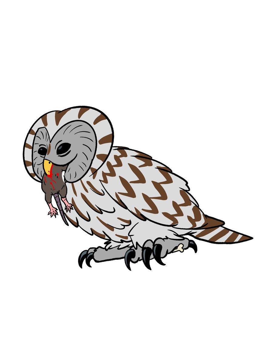 Tomjarobz93's tweet photo. Some owl designs I did for @thevalecartoon . 1 of 3
#thevale #animation #animationassets #procreate #characterdesign #owl #birdsofprey #2danimation
#tawnyowl #barnowl #uralowl #tengmamlowl #ebbwvale #ebbwvaleowlsanctuary https://t.co/BYvH0as1Nw