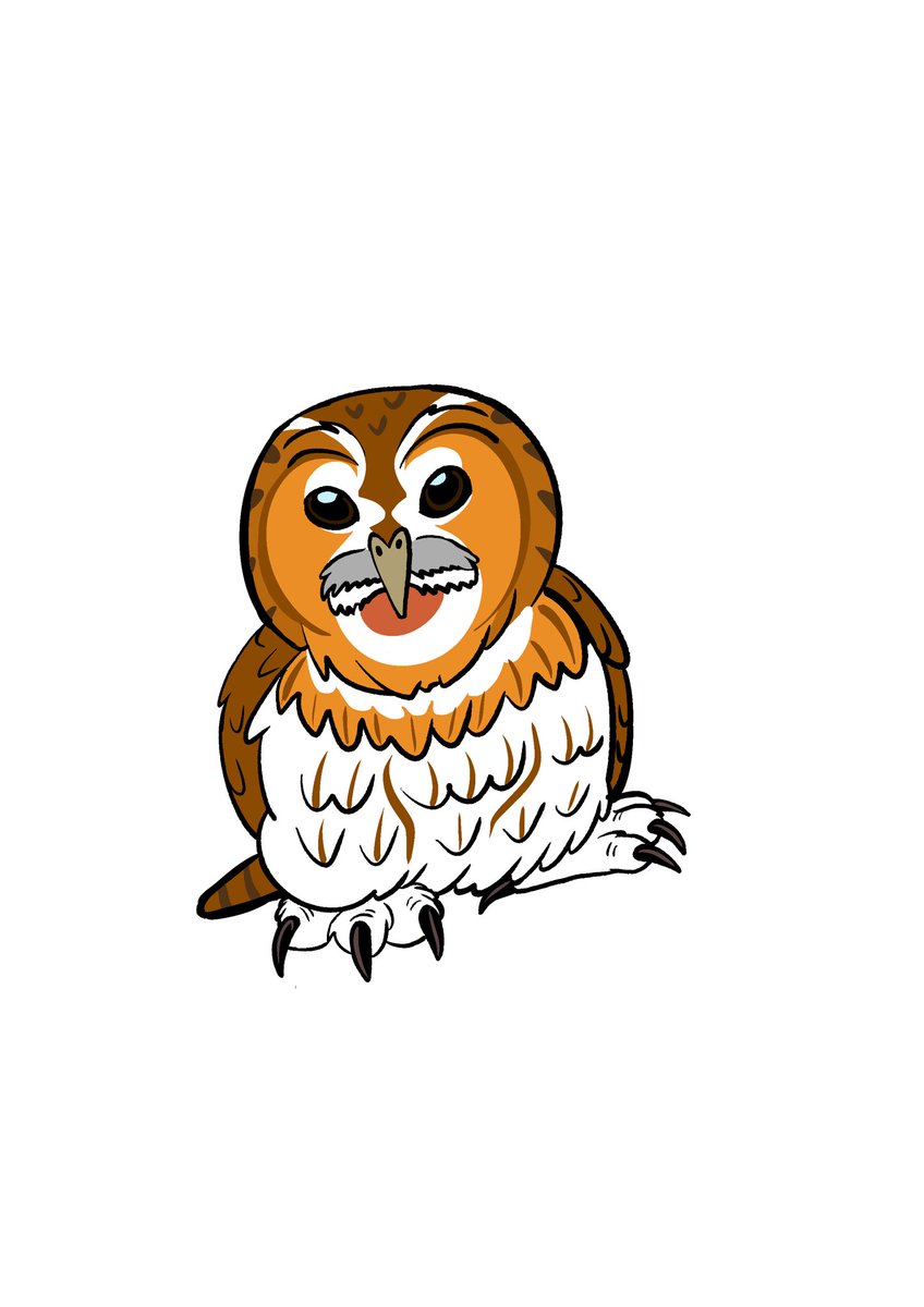 Tomjarobz93's tweet photo. Some owl designs I did for @thevalecartoon . 1 of 3
#thevale #animation #animationassets #procreate #characterdesign #owl #birdsofprey #2danimation
#tawnyowl #barnowl #uralowl #tengmamlowl #ebbwvale #ebbwvaleowlsanctuary https://t.co/BYvH0as1Nw