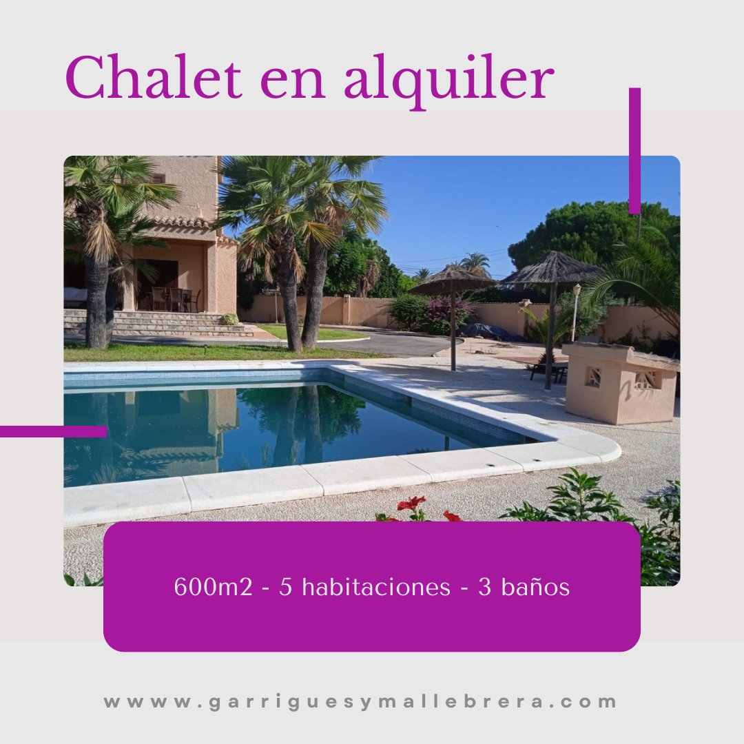 GYMinmobiliaria's tweet photo. Chalet en alquiler en Elche zona Hospital General. 

https://t.co/QO03aiT82d
🏠 600m2 - 5 habitaciones - 3 baños
💶 En alquiler
☎️ 965456616
💻 Ref: 40/188

#garriguesymallebrera https://t.co/sg3JfRRRfp
