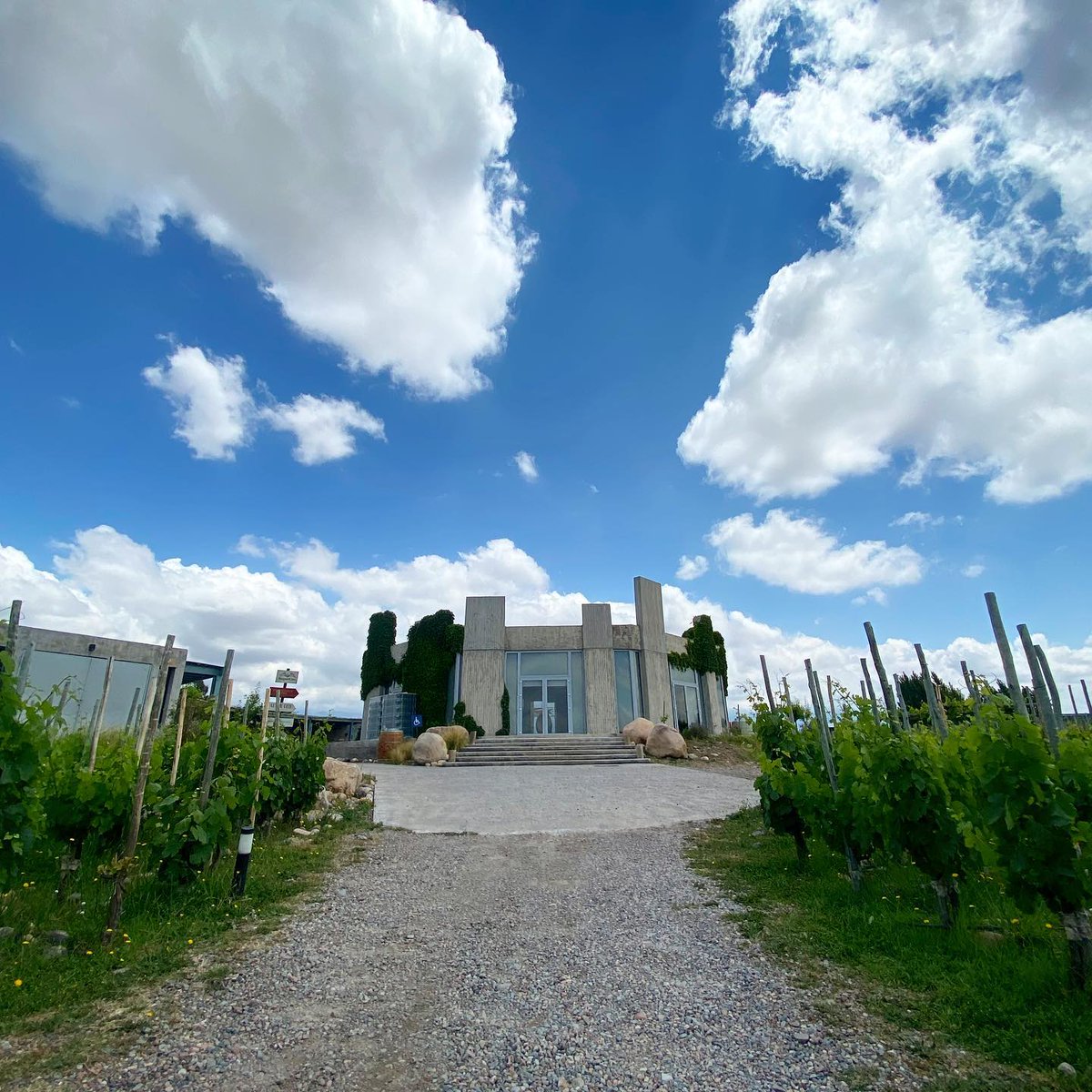 SmilingE5's tweet image. Every detail speaks to us about the beauty and magnificence of nature, filling us with gratitude and awe