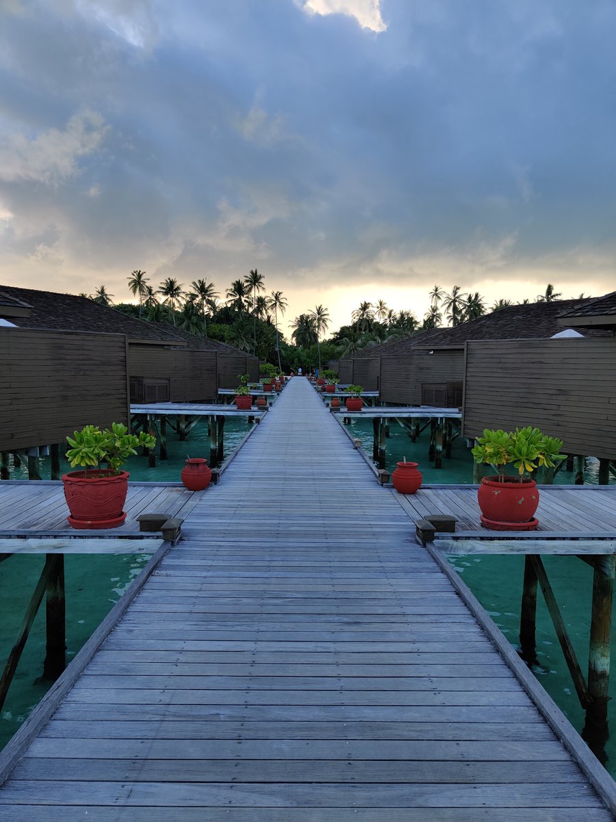 hungryexplorer_'s tweet photo. Paradise found in this water villa outside view 💦🌴

This water villa's outside view is breathtaking 😍🌅

#jacuzziwatervilla #vacationgoals #watervilla #maldives #travel #maldivesislands #maldivesresorts #visitmaldives #beach #paradise #luxurytravel #beautifulmaldives https://t.co/hzZPNy0ydW