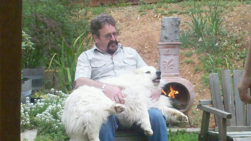 From 12 years ago. Miss my lil' buddy.

#GreatPyrenees
#geneticdisorders