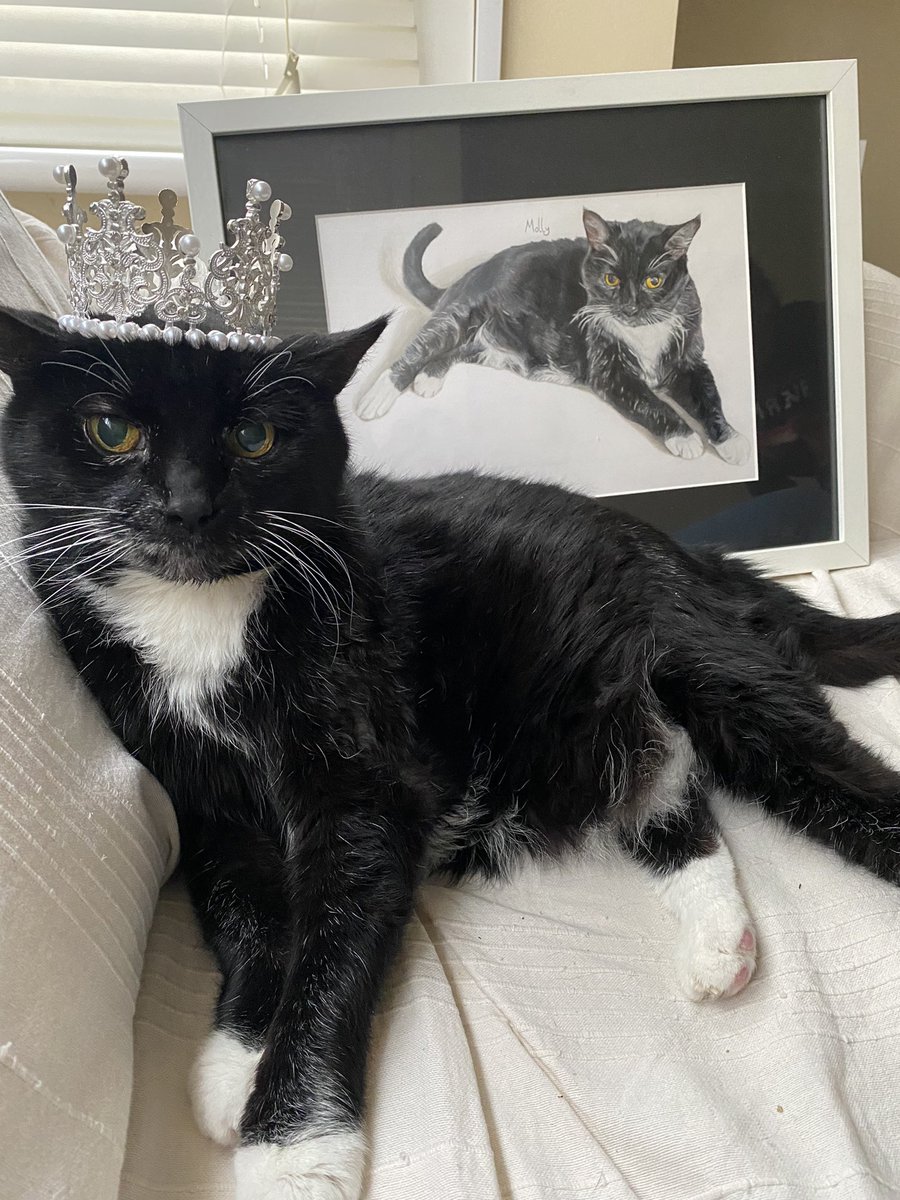 It’s not just Charles getting into the #Coronation spirit with an official portrait…