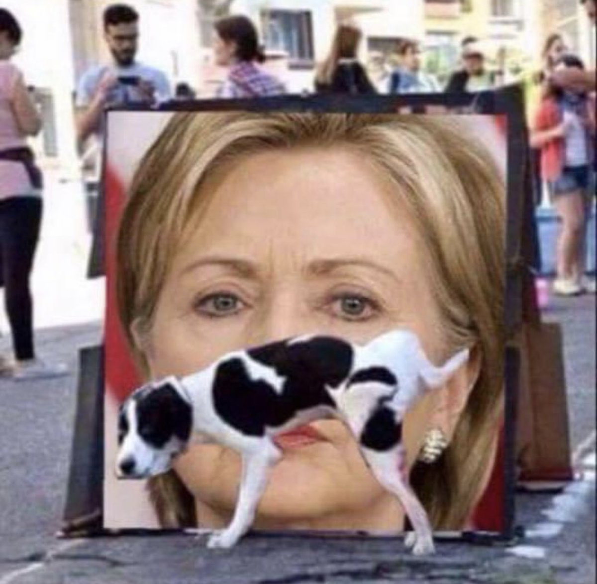 atensnut's tweet photo. One of my favorite photos of Hillary.   Good dog! https://t.co/6MTUC0ulwx