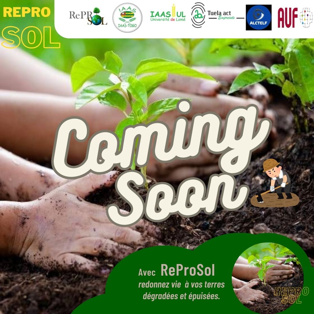 TuelaAct's tweet photo. Pour atteindre une sécurité alimentaire efficace tout en participant activement à l'atténuation des effets du  changement climatique, @IAAS_TOGO vous présente le projet ReProSol. https://t.co/Bahcgly3xW
