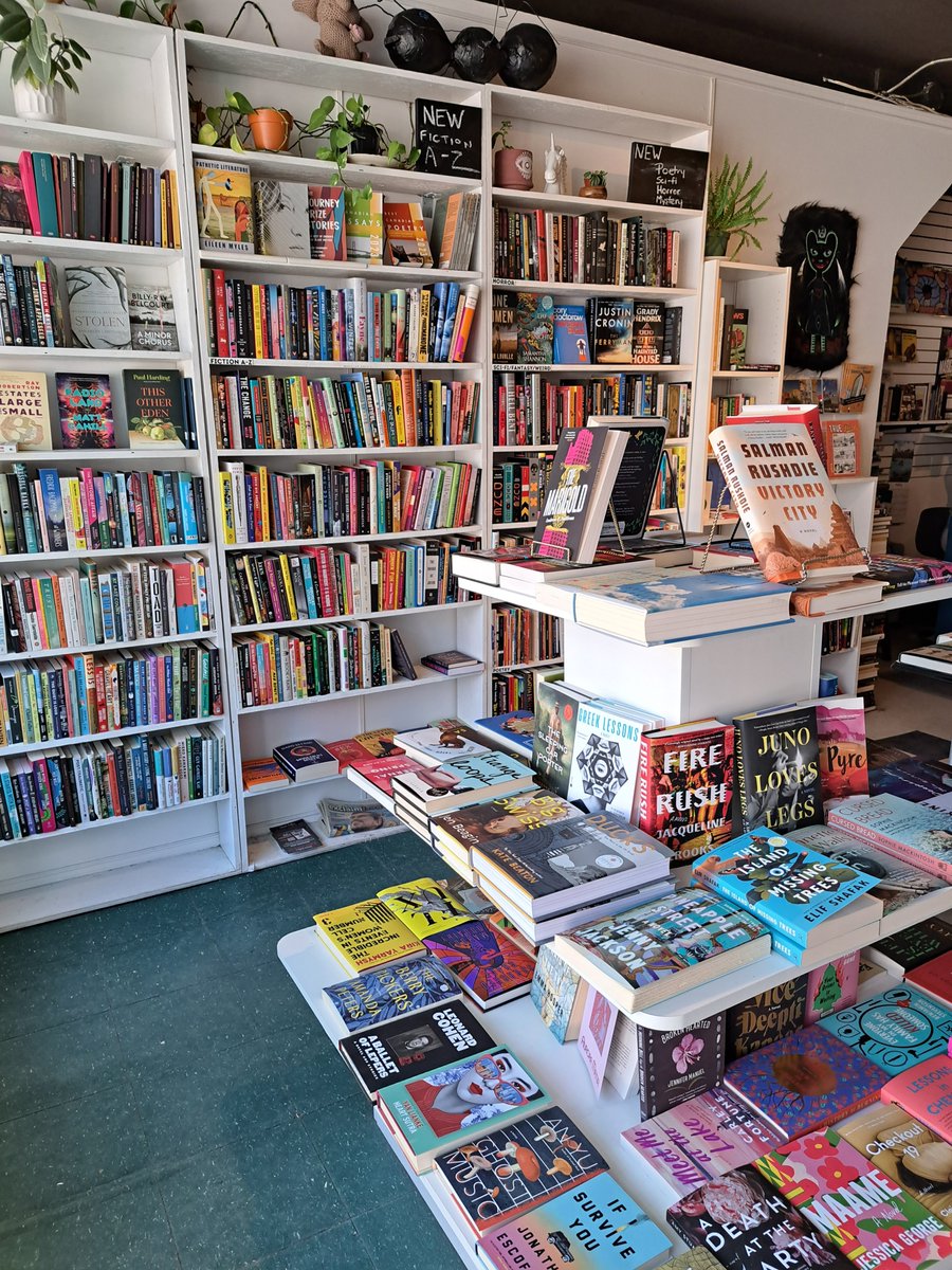 Madison Farkas tweet media