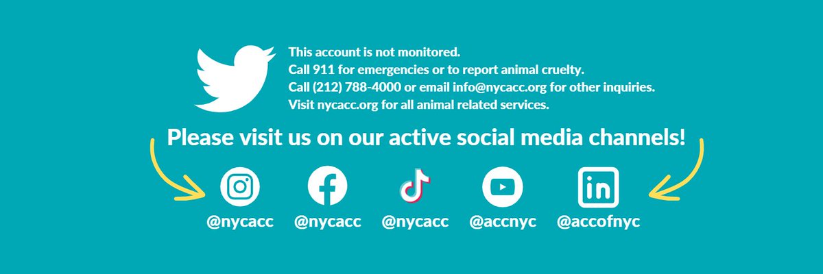 Animal Care Centers of NYC tweet media