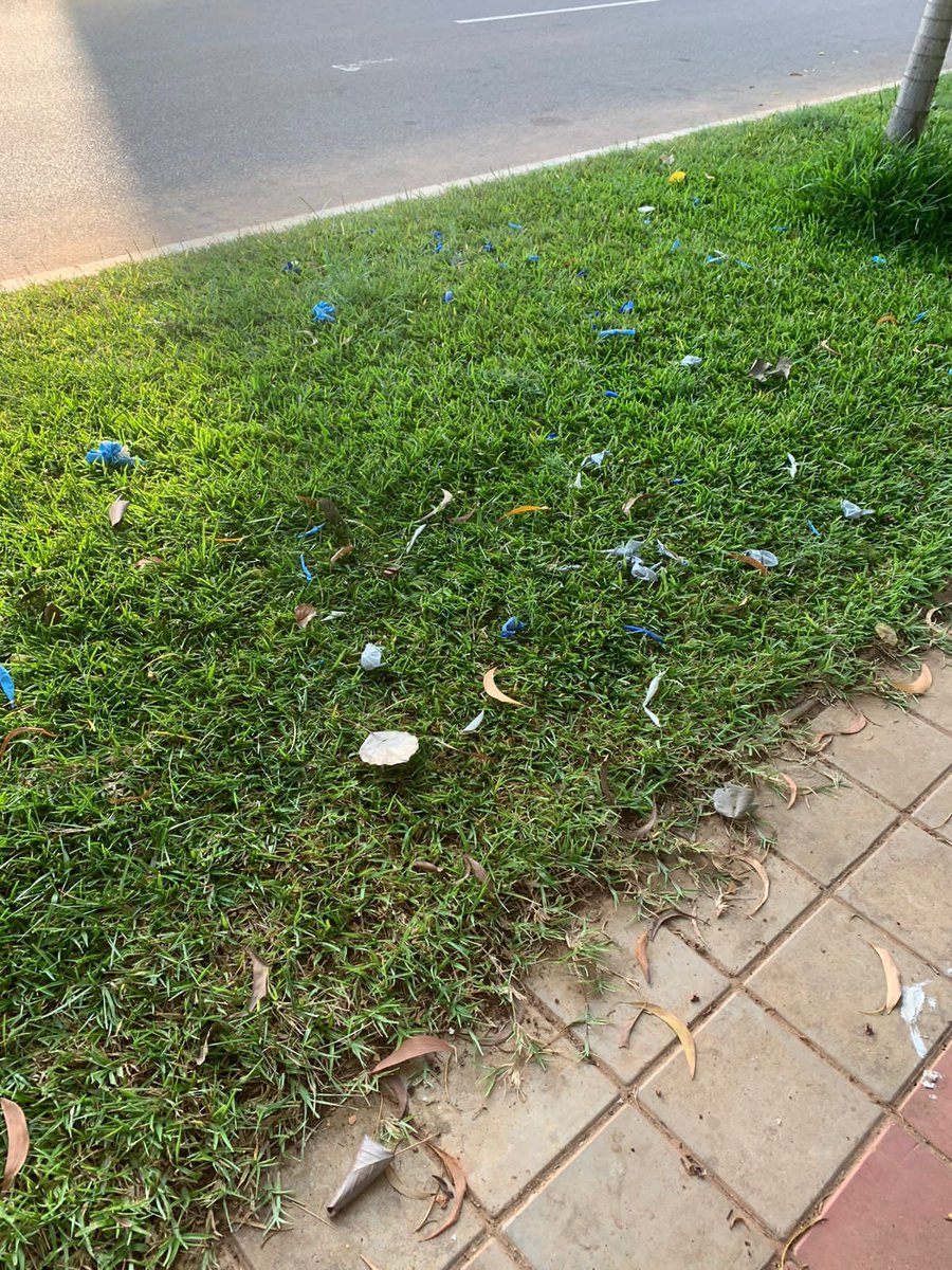 psico_Verde's tweet photo. Qual seria a melhor alternativa para deixarmos de usar balões nas decorações? https://t.co/ggXEoqDKmI