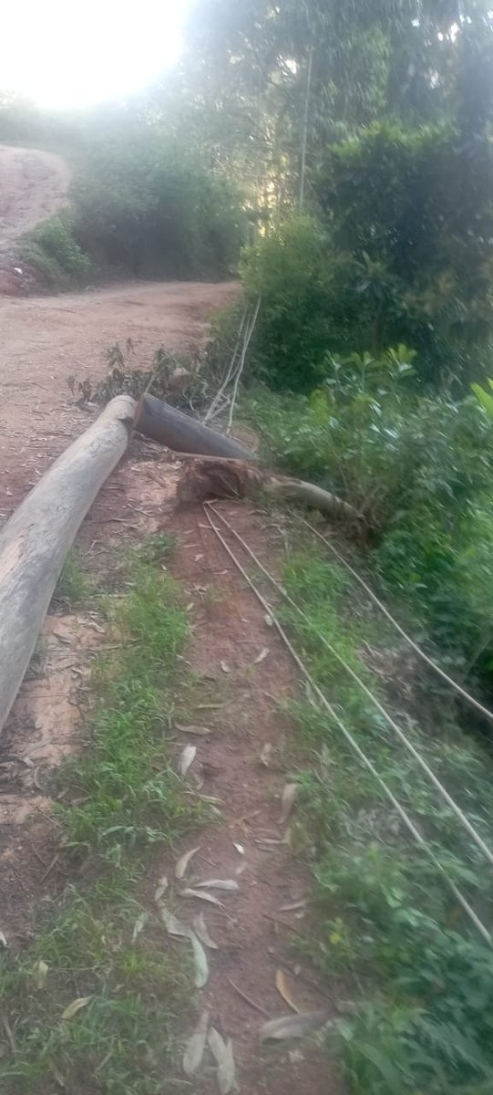 MantixDi's tweet photo. @KenyaPower power lines lying here for more than  3 weeks now.KPLC EMALI branch are too reluctant to act. https://t.co/JfmM41YtKX