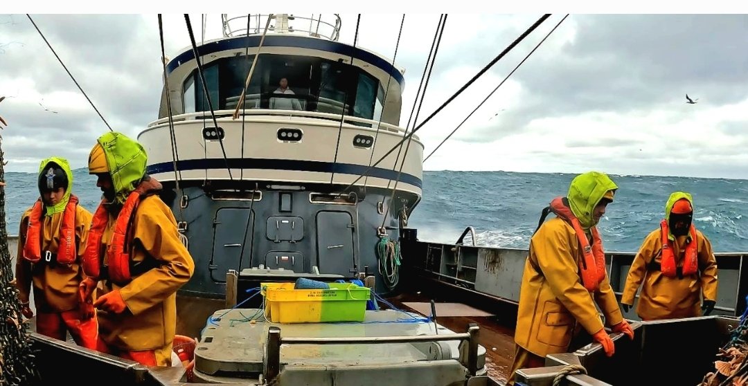 Dutch &amp; Belgian fishing boats will tomorrow join an EU-wide protest against plans to restrict bottom fishing. Thousands of fishermen, their communities, the industry and millions of consumers will be affected @EU_Mare @Vsinkevicius. 

#SOS_EU_Fishing #EuropeDay #EBFA