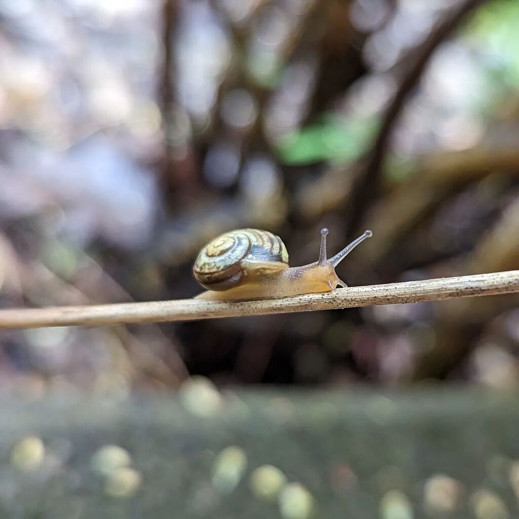 BaslerMeitli's tweet photo. Ich muss gestehen: ich bin gerade sehr in meiner Borderline Schiene.
Die meisten Menschen nerven mich: deren Geräusche und Gerüche, sowieso deren Präsenz, aber noch schlimmer sind alltägliche Interaktionen: "an der Kasse grüssen", beim Spaziergang "grüss… https://t.co/lO8UtpkPFM https://t.co/Tj2lV8afB3
