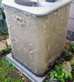 CITYOFWASECA's tweet photo. 📷Central Air &amp;Air Source Heat Pump Tune-up Rebates available: Maintain equipment to prevent problems and unwanted costs keeps your cooling system at peak performance. Go to https://t.co/ibRuioFBPJ for more information or contact the Utilities Office at 507-835-9718. https://t.co/VgVYsj6foy