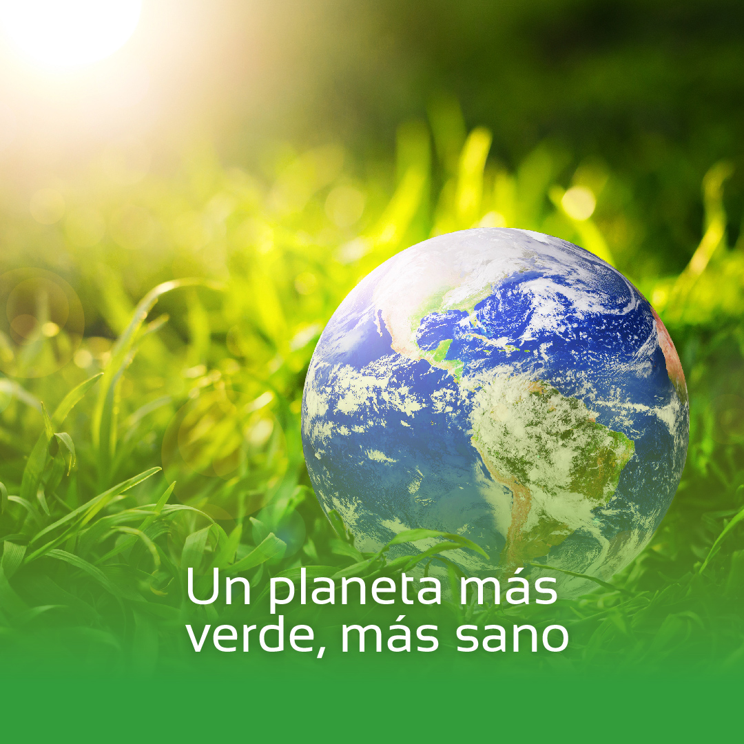 GreeningEspana's tweet photo. "Verde que te quiero verde" 🎶
💚 Como decía el poeta Federico García Lorca, apostemos por el verde.
¡Juntos conseguiremos un planeta más verde, más sostenible y más sano! 🌍
.
.
.
#BeGreening #autoconsumo #fotovoltaica #panelessolares #placasolar #eficiencia #fotovoltaica https://t.co/HT7FWBMPxU