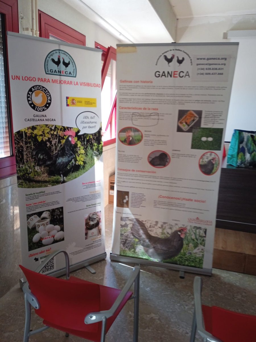 Nuestros alumnos de los ciclos de la rama Agraria asisten a la charla del presidente de la Asociación de Amigos de la Gallina Castellana Negra, director técnico del proyecto de recuperación y fomento de esta raza autóctona. Nuestro Instituto es parte activa de ese proyecto.