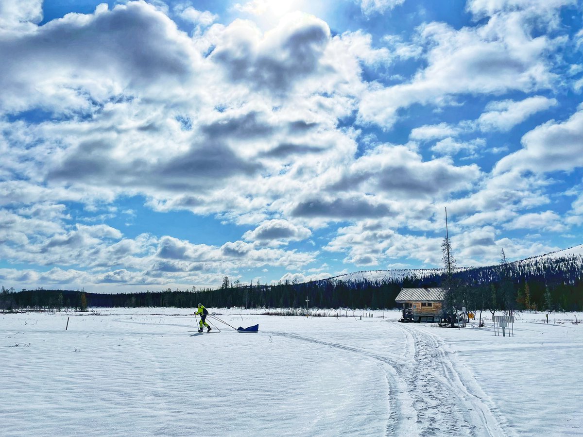 ZSN_Chen's tweet photo. After the #snow survey in #Pallas, I finally learned some real skills in #snowpit digging😆All the work just turned into dozens of vials❄️🧪
Today, another site visit to @OulankaStation to discuss #BoTWU’s water isotope and sap flow measurements🤔Looking forward to summer 2024🥳 https://t.co/wuFU7wiRyn