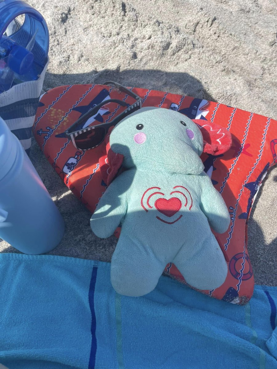 PLEASE SHARE! A family who visited Disney World in honor of their late son is asking for help after they lost his toy elephant, which also bore his ashes. Read more: bit.ly/3LBn6da
