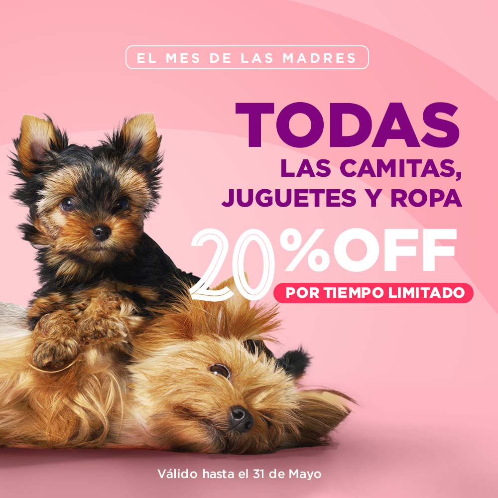 PetNGo's tweet photo. ¡Celebremos a las madres perrunas con estilo! Descubre las mejores camas, juguetes y ropa para mimar a tu fiel compañera 🐶💐😊
https://t.co/Jo4ESVq9TZ https://t.co/MWyPkXc7aB
