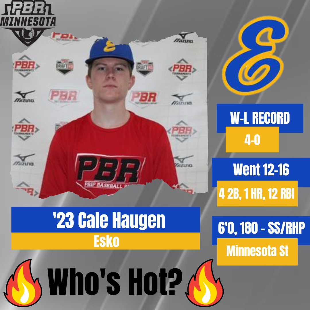 Prep Baseball Minnesota tweet media