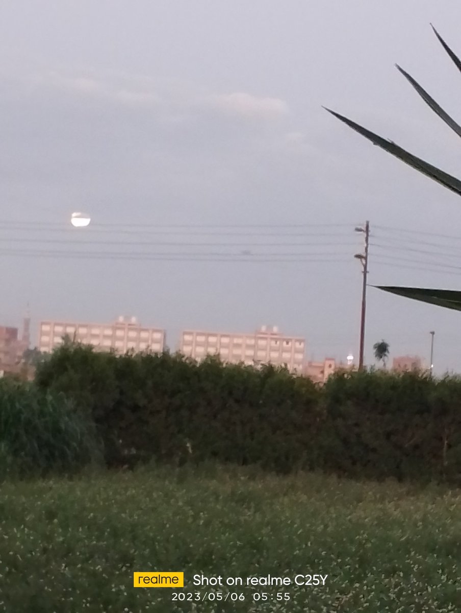 Walied Nassr (@walied_nassr) on Twitter photo 