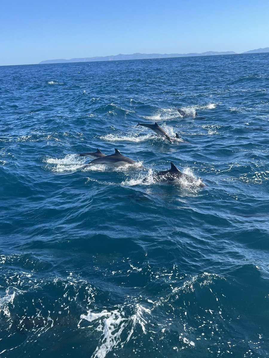 Chase Ledbetter tweet media