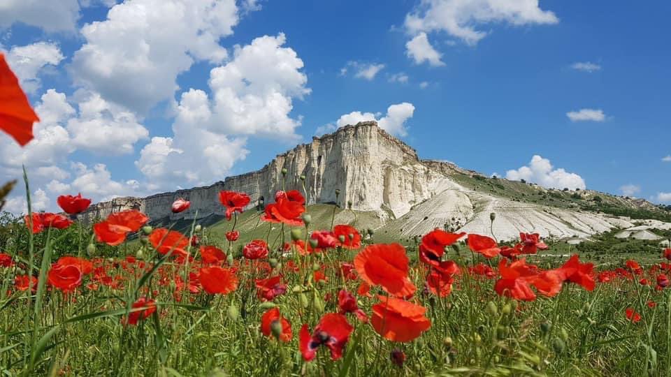 Today is a Day of Remembrance and Victory over Nazism in the Second World War of 1939-1945. These poppies are from #Crimea