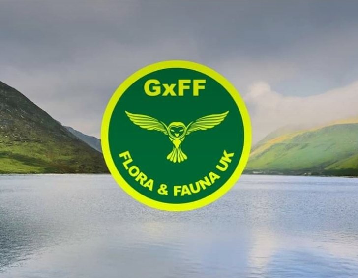 wwff44's tweet photo. GxFF Facebook Group https://t.co/y5whEe179U / #wwff #gxff #AmateurRadio / 73 and 44 https://t.co/aJDhQAqdpM