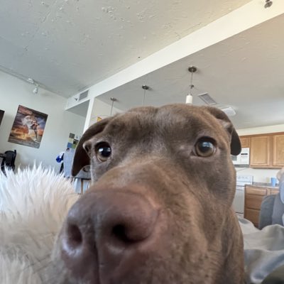 graciesjeans's tweet photo. #NewProfilePic https://t.co/wouiTxNkJF