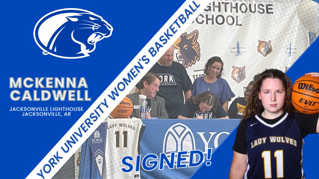 York University WBB tweet media