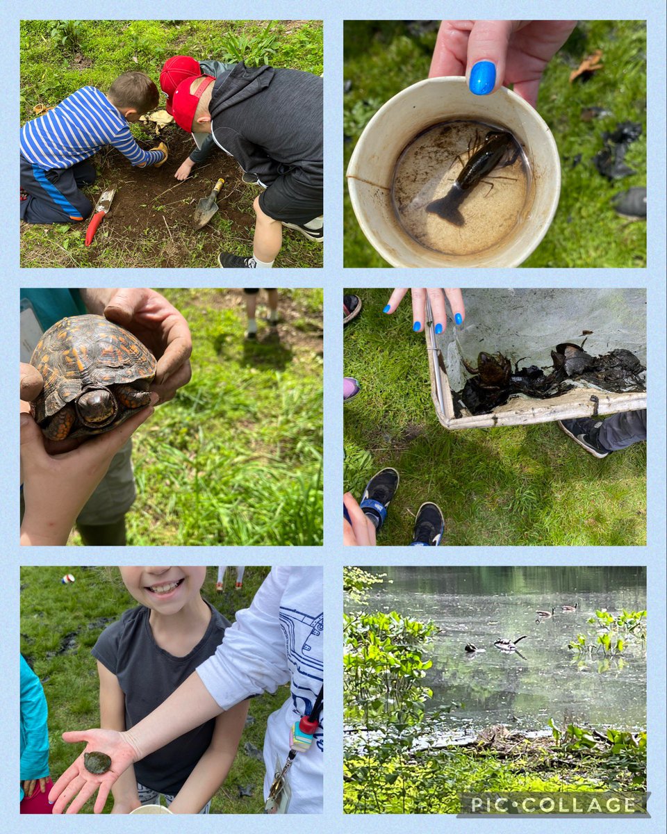 Another fantastic trip to Hopkins Pond! <a href="/haddonES1/">Lizzy Haddon School</a> <a href="/HaddonSchools/">Haddonfield Schools</a> @Miss_Reddington <a href="/MrsCibischino/">Michelle Cibischino</a>