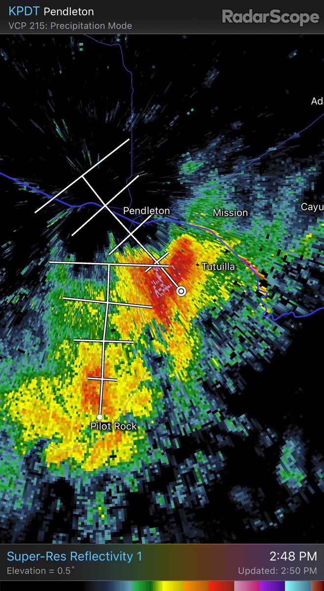 Matthew Callihan tweet media