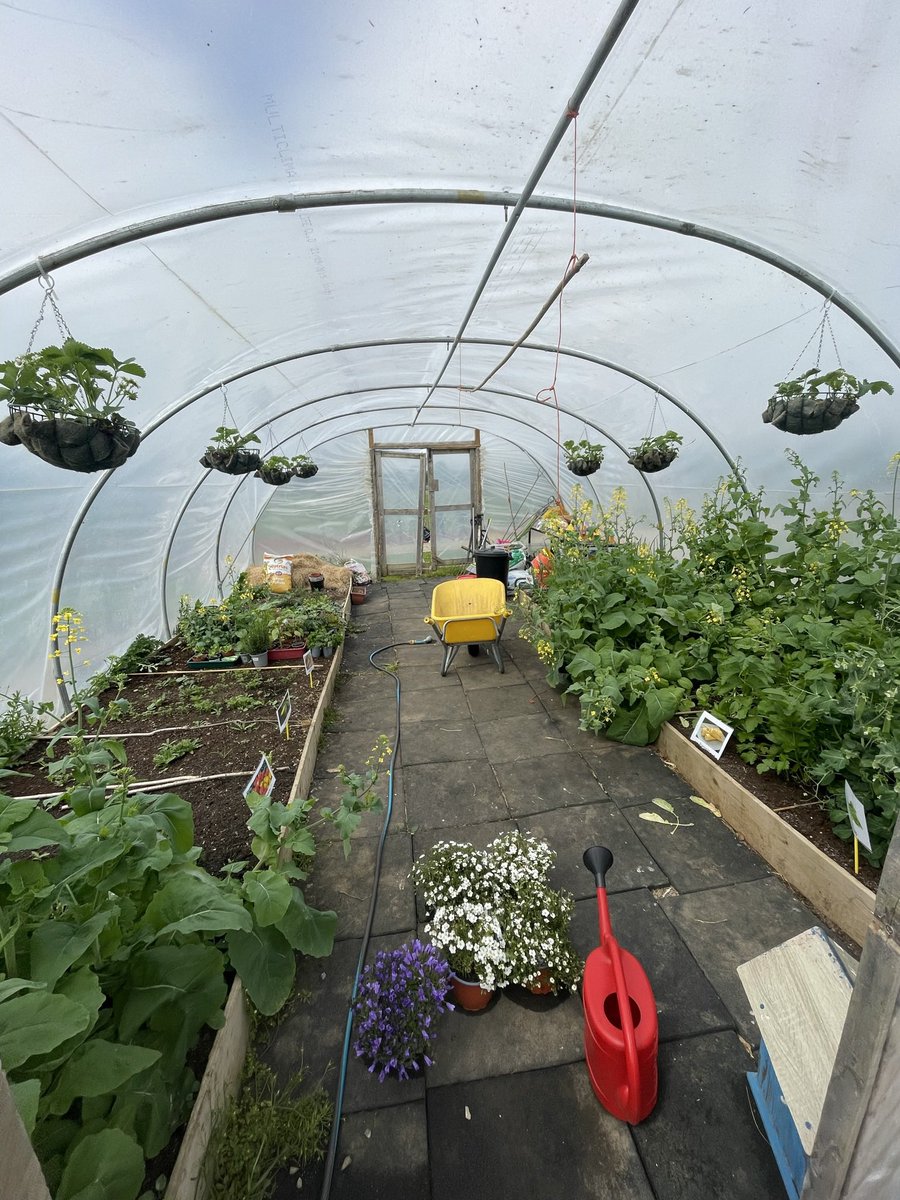 TarmonNS's tweet photo. Our Polytunnell and outdoor classrooms looking very colourful 🌸🌷🌹🌼 @ppdcuioe @DCUCMS https://t.co/IO7JZYLlYY