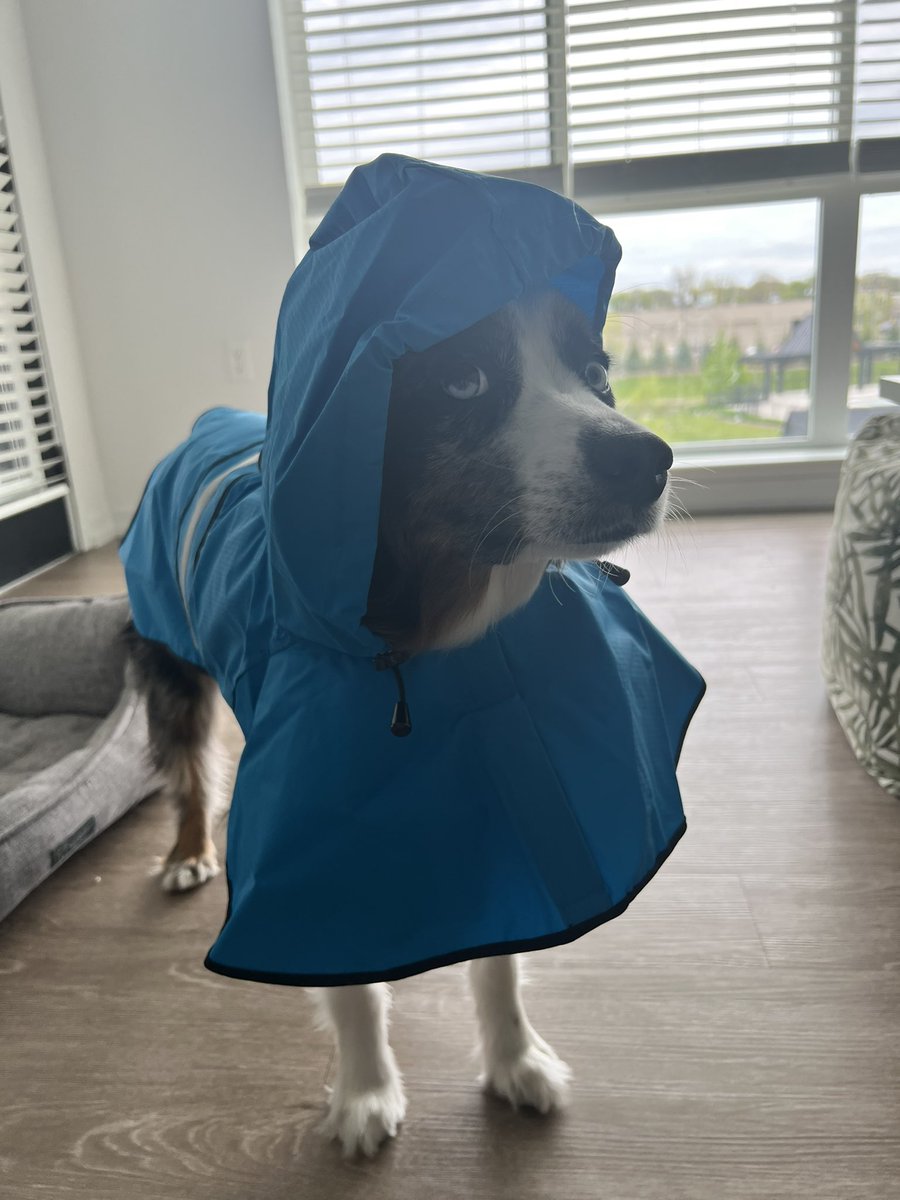 trumboner23's tweet photo. @amazon get this boy sponsored !!! 😤 💧☔️ https://t.co/Gb11cg33CV