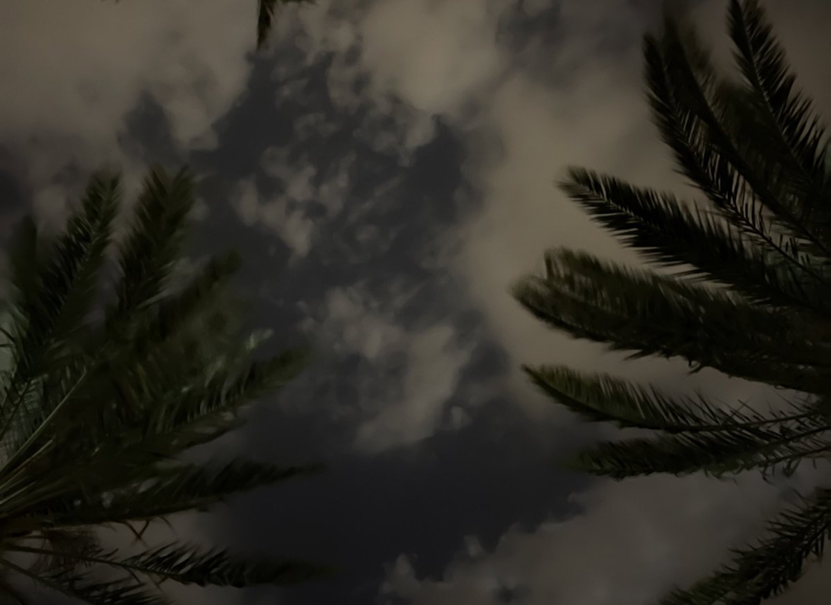 للهِ سلَّمتُ أمرًا لَستُ أَعلَمهُ 
ما لي على حِملِه لكِن سَأرضَاهُ

ربّاهُ لولاكَ لا سندٌ ولا أحَدٌ 
فأنْتَ حَسبي وَحَسبِي أنّكَ الله."

#رساله_اليوم