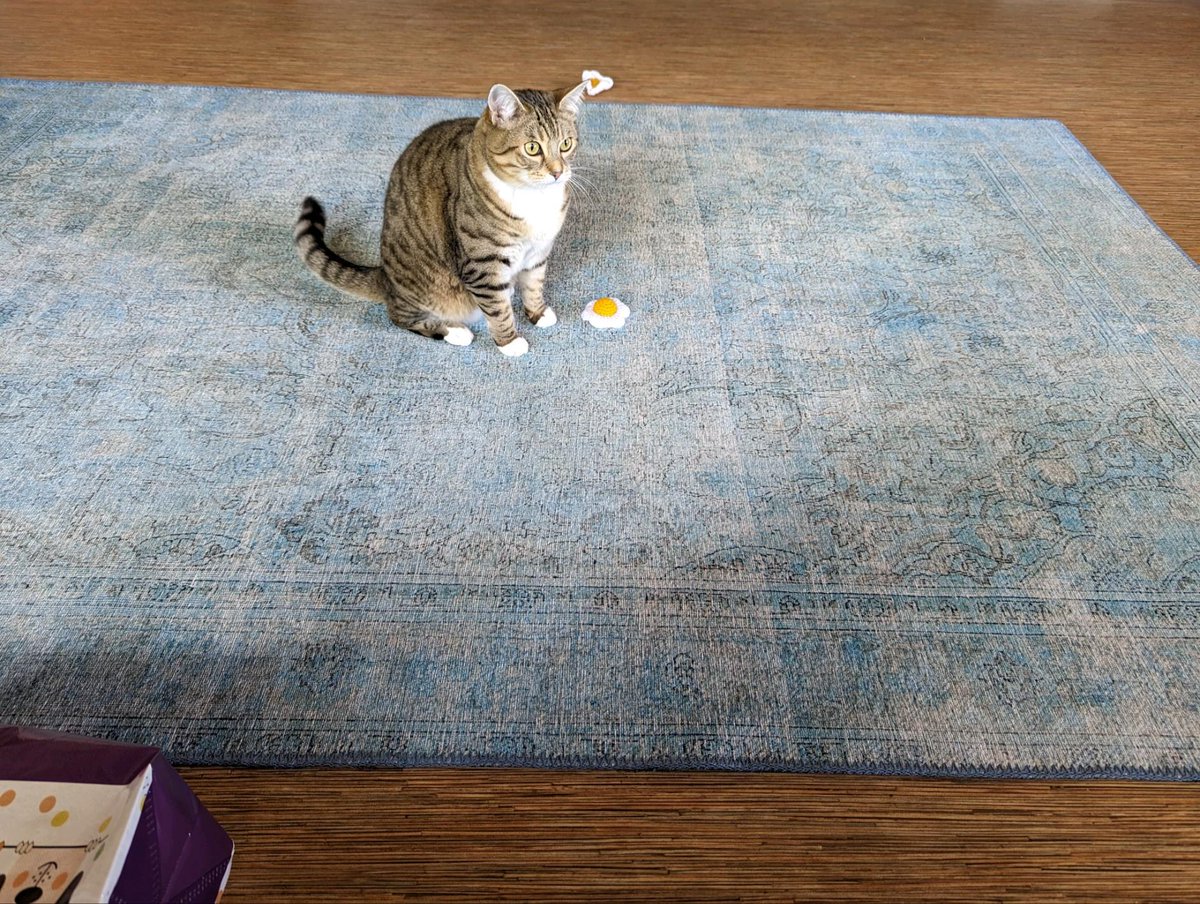 ivanaboastsky1's tweet photo. @SaMindy4 Charli loves those catnip eggs you made https://t.co/t1jxyQoI4E