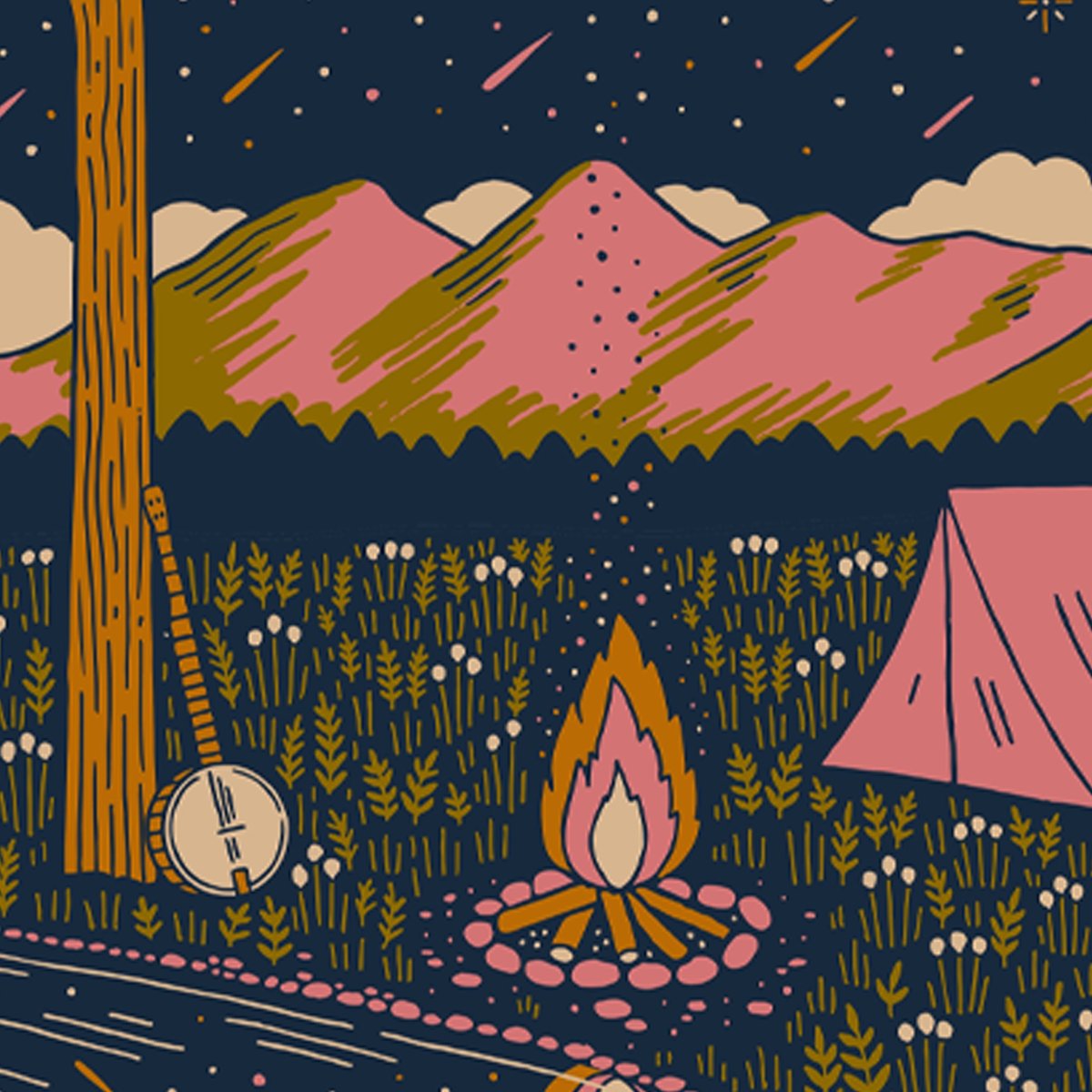 The first ever Mighty Poplar tour begins tonight in Boulder! Swing by the merch table to pick up this limited edition tour poster, designed by Kelley Wills.