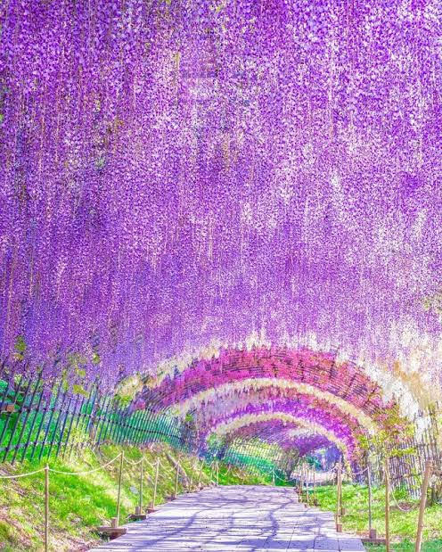 NCckY0iRwEkTdAV's tweet photo. おはようございます😊✨

清々しい晴天の朝です🌸

Thank you💗
I hope you have a wonderful day✨

皆様にとって笑顔溢れる素敵な
１日になりますように🌼🌷🌺 https://t.co/5f8wWqNvm1