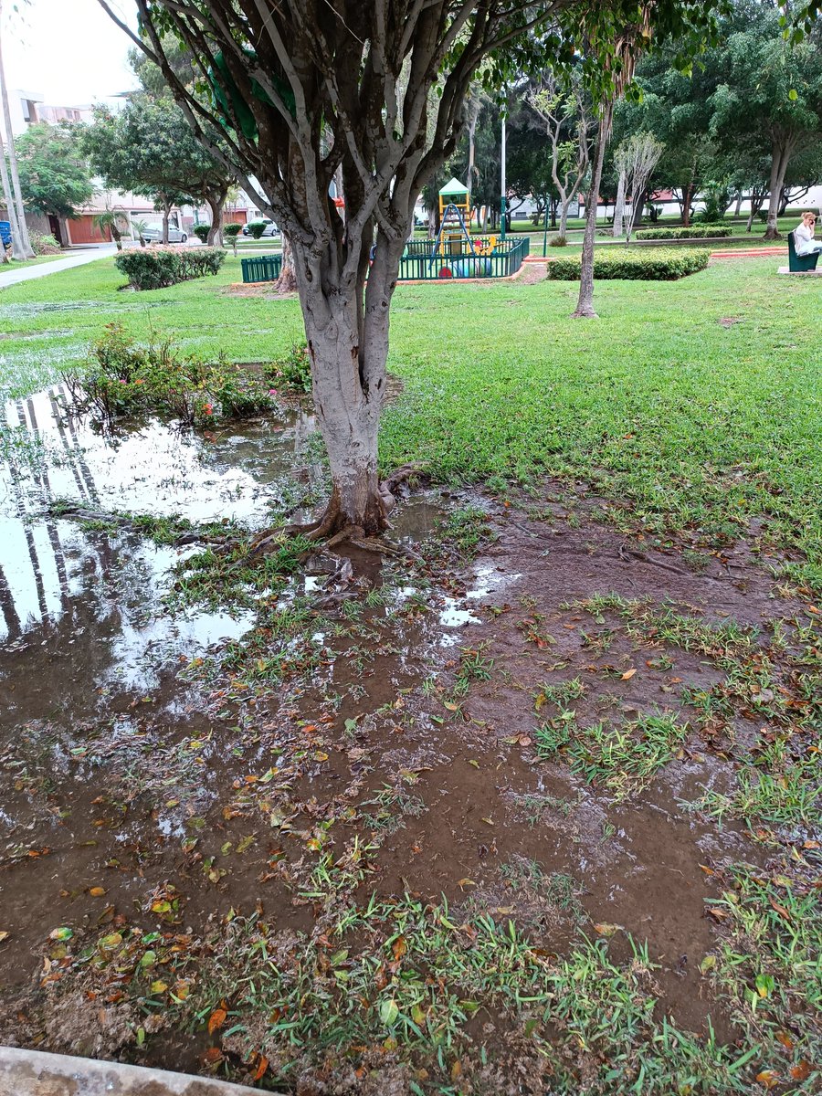 lmich84's tweet photo. @munisurco1 necesitamos su atención inmediata en el parque Virgen de las Mercedes en jirón Mérida. 
@Carlos_Bruce https://t.co/PTtGE66zWi