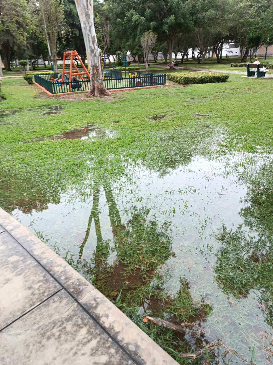 lmich84's tweet photo. @munisurco1 necesitamos su atención inmediata en el parque Virgen de las Mercedes en jirón Mérida. 
@Carlos_Bruce https://t.co/PTtGE66zWi