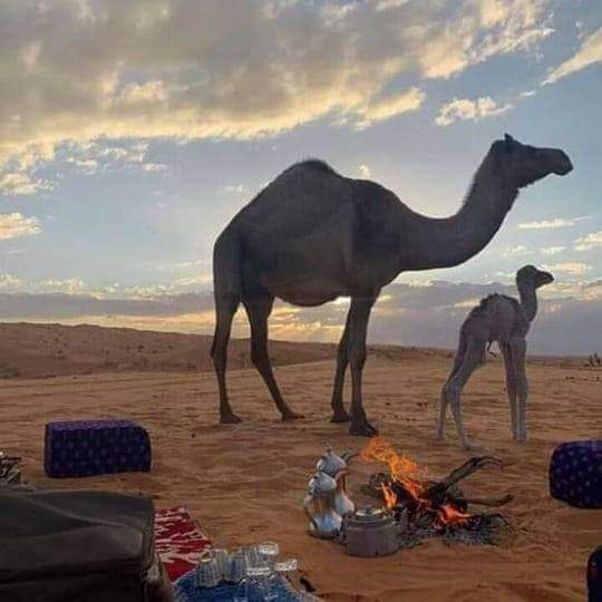 مساء الخير والسعادة