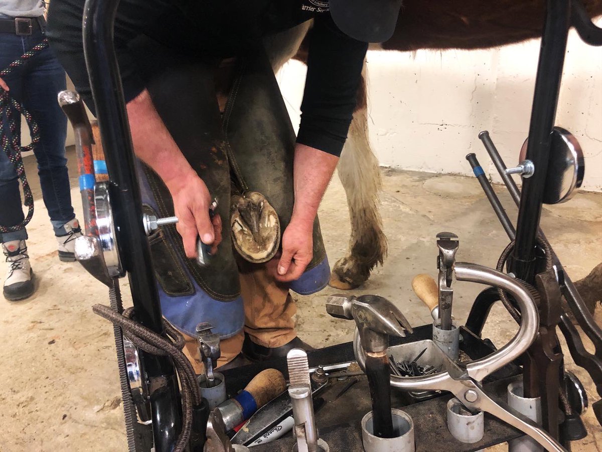 JMBrauer's tweet photo. Spent the afternoon filming with Tobias (the farrier) and Buddy (the horse) at @VetMedIllinois for the third installment of our makers series! https://t.co/enWb1jsTEb