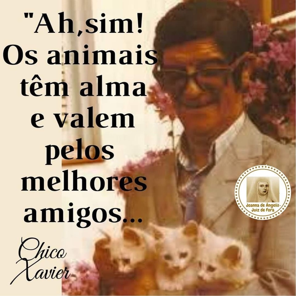 espiritanet's tweet photo. https://t.co/U6YKzuDWtX | 2023-05-08T22:14:26+0000 | #espiritismo #espirita #doutrinaespirita #espiritismobrasil | https://t.co/bOwL1CJcTE