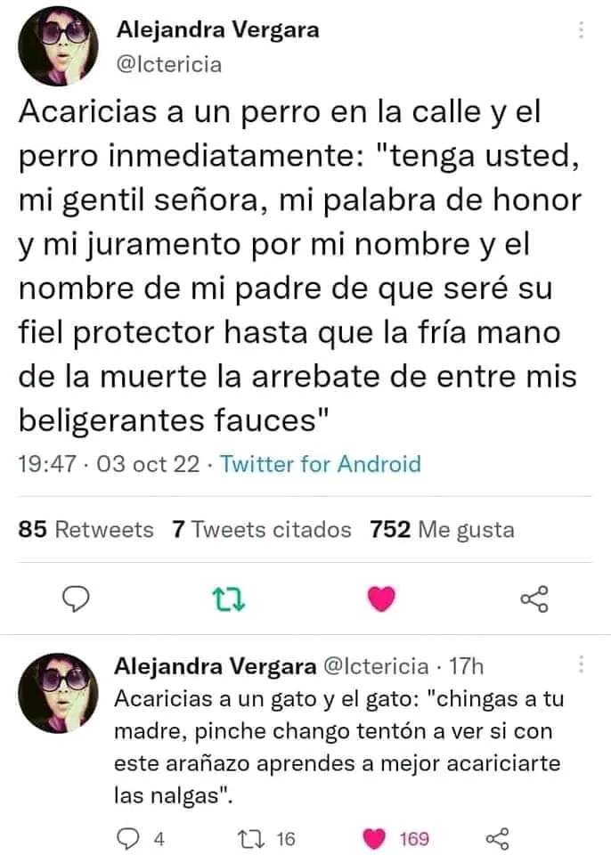 LovienTw6's tweet photo. Tweet comportamiento de un perro callejero vs gato callejero https://t.co/omtIln8QjJ
#perros #gatos #tweetsdehumor https://t.co/wXVnlMWF2k