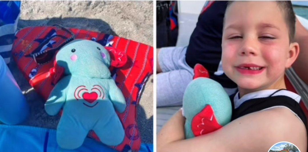 julia_bergeron's tweet photo. Calling all Space Coast Peeps: This precious stuffie was lost by a family on a recent central Florida vacation that included Orlando and Cocoa Beach. It contains this sweet boy's ashes and the Iowa family needs help being reunited. More info 👇 https://t.co/vqisqSilFS https://t.co/nPBDXZKj8r