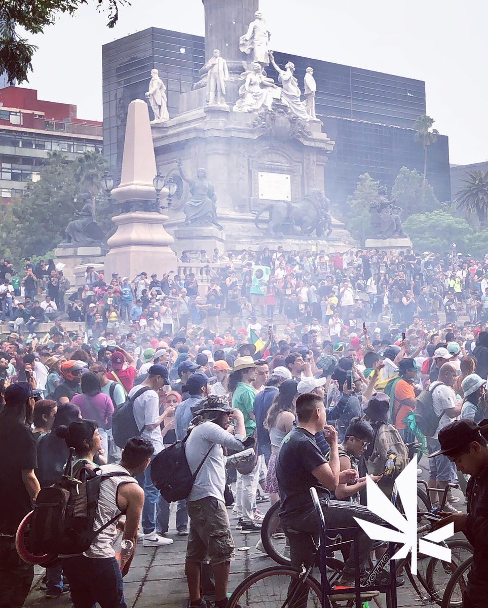 kiefmx's tweet photo. Gracias a toda la comunidad Cannábica de la Ciudad de México por una marcha tan memorable y especial 🥰

Y en especial a todos los que participaron con el equipo Kief, recuerden escanear su QR para obtener un regalito de nuestra parte… https://t.co/MZxN8VTPIJ